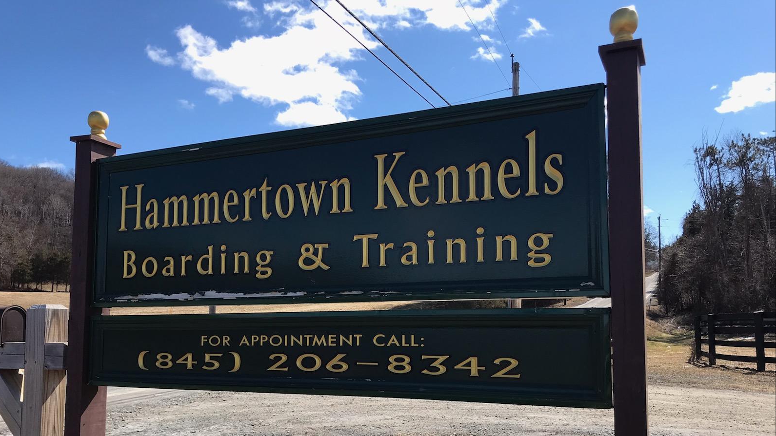 Dog kennels in Northern Dutchess County NY
