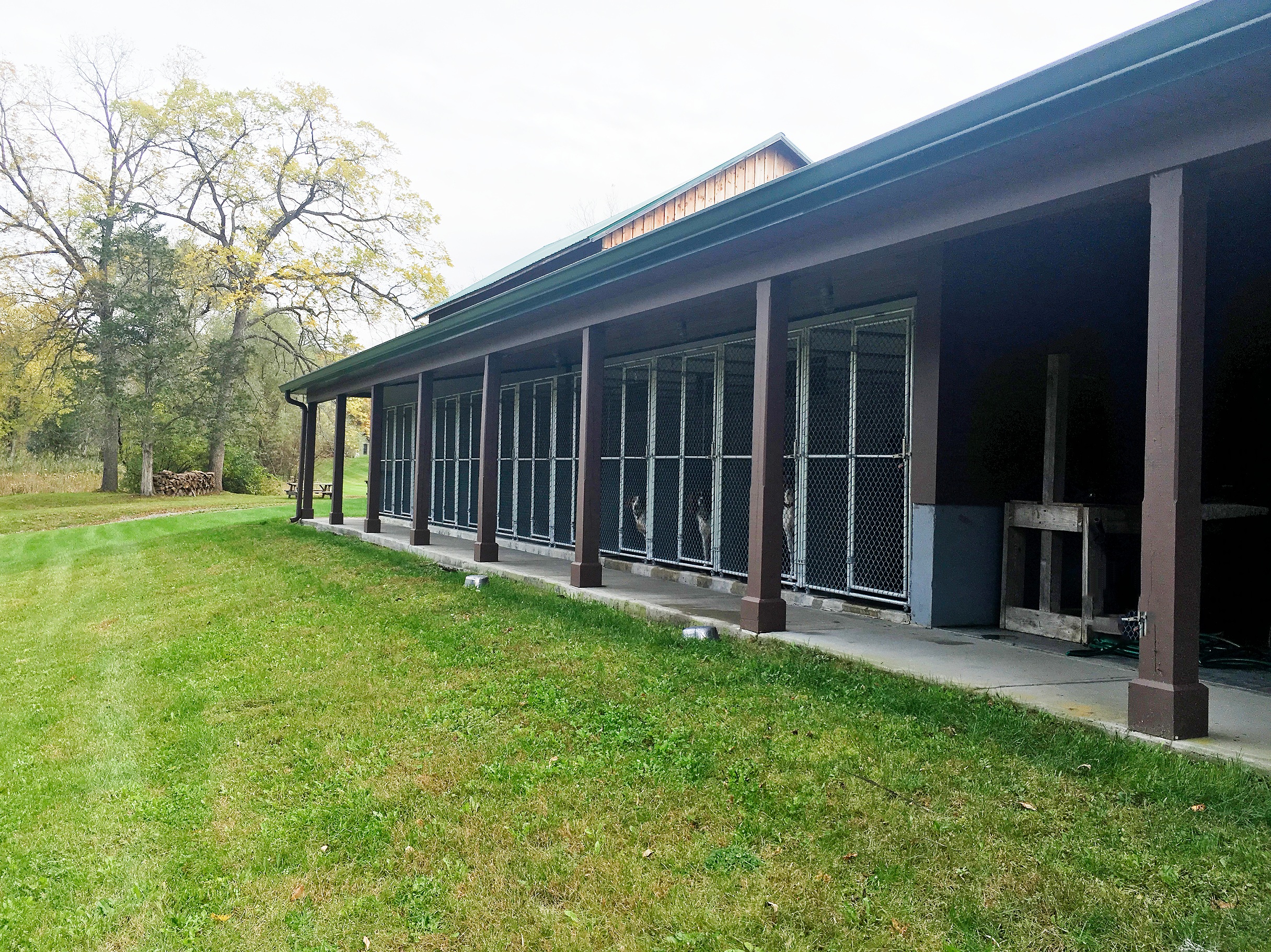 Hammertown Kennels Dog Boarding